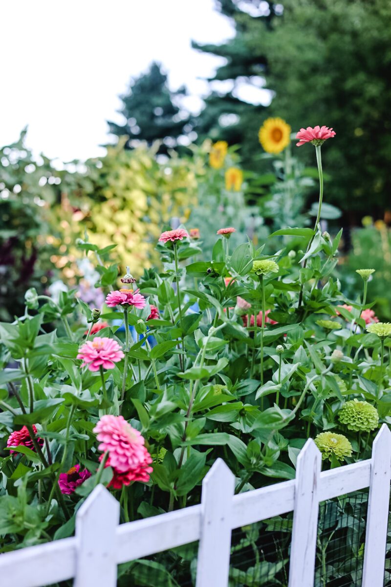 The Ultimate Guide to Starting a Cutting Garden in 2026 - Cottage On ...