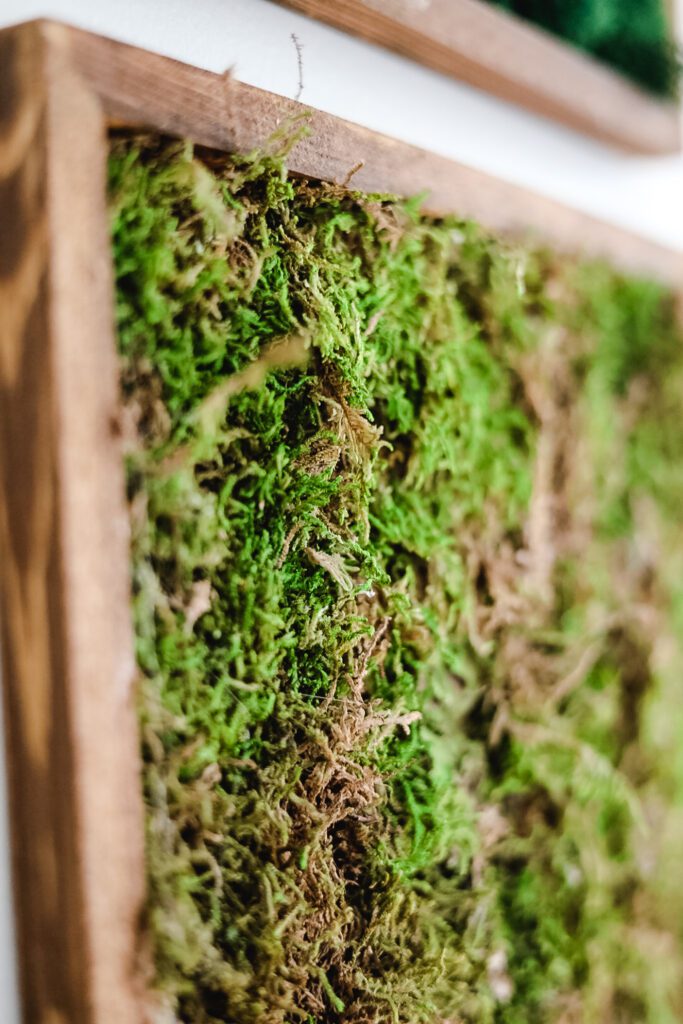 How To Make DIY Moss Wall Art - Cottage On Bunker Hill