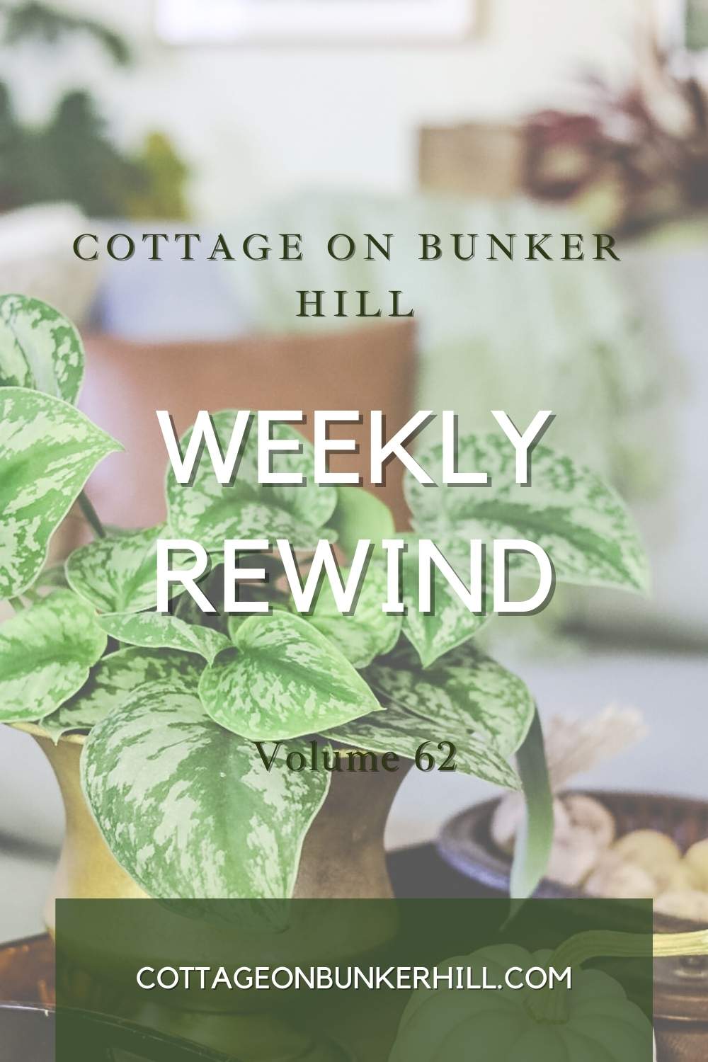 weekly rewind image