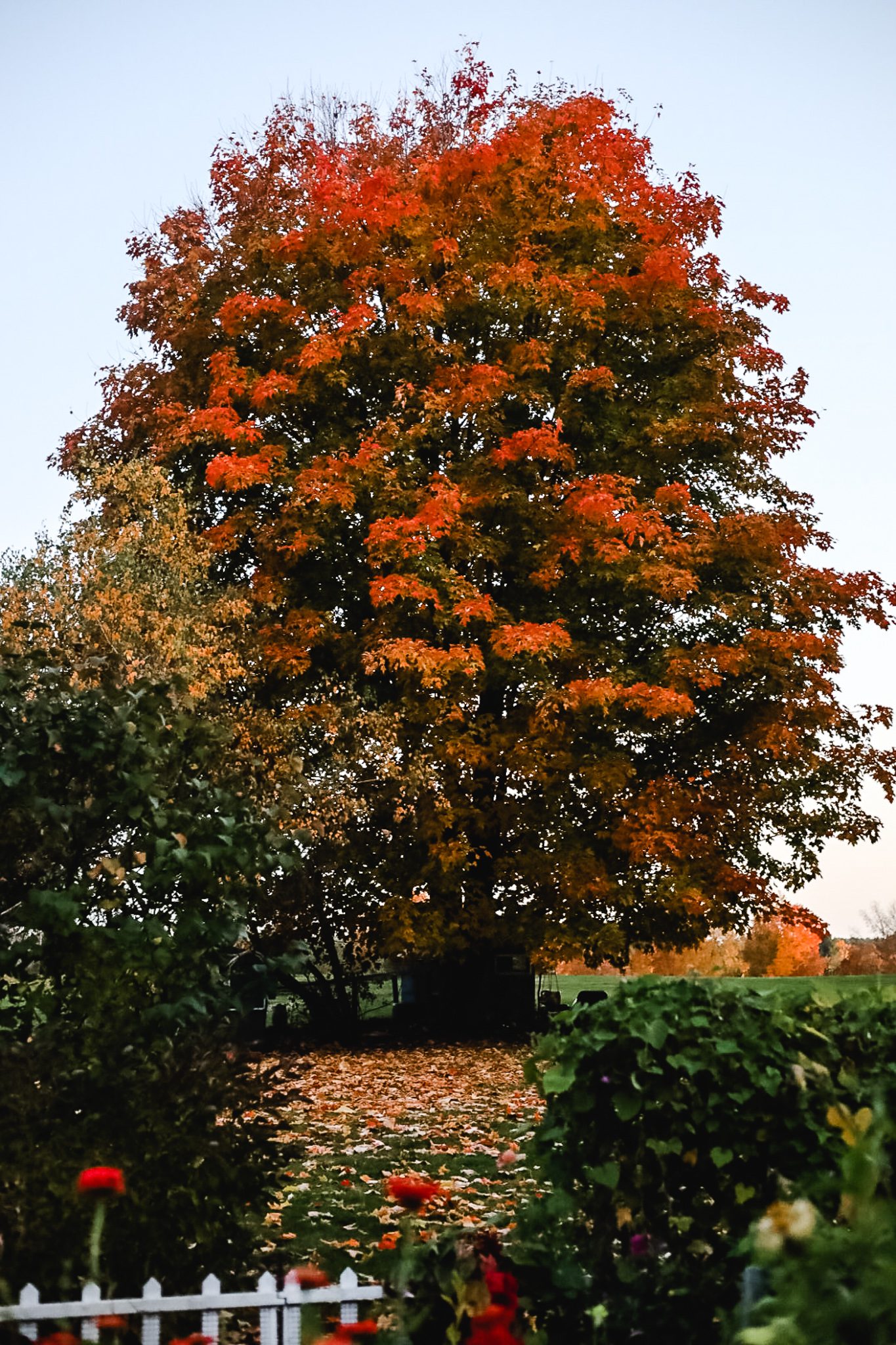 Welcome Home: A Collection of My Favorite Cozy Fall Ideas - Cottage On ...