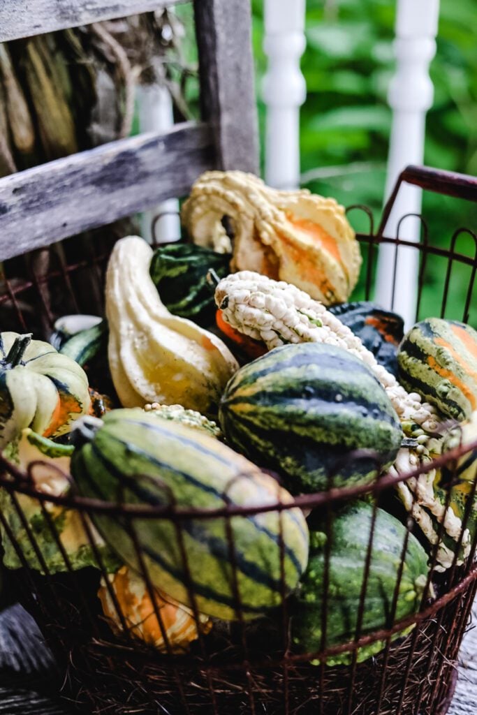 basket filled with gourds on old chair
