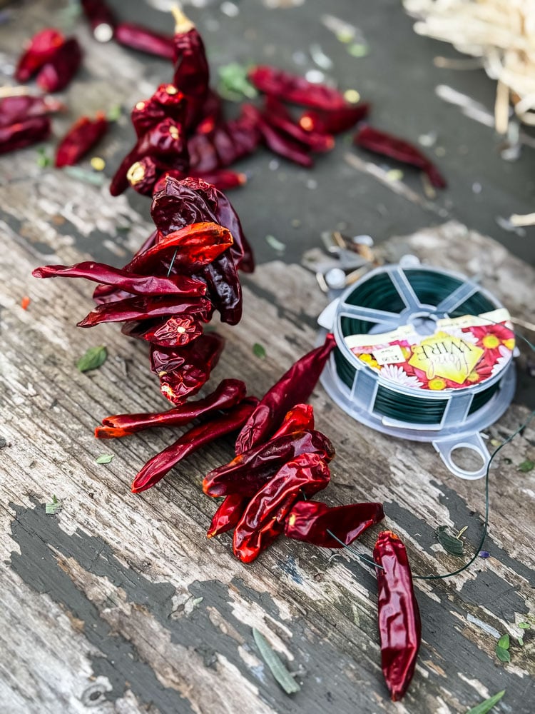 dried chili peppers