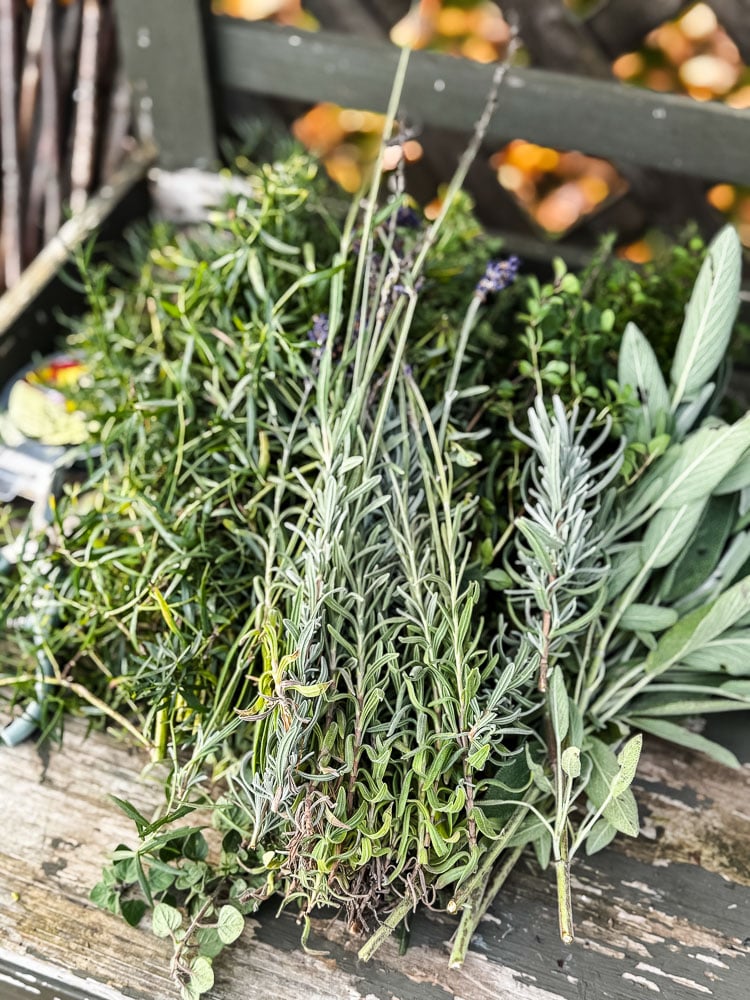 fresh garden herbs