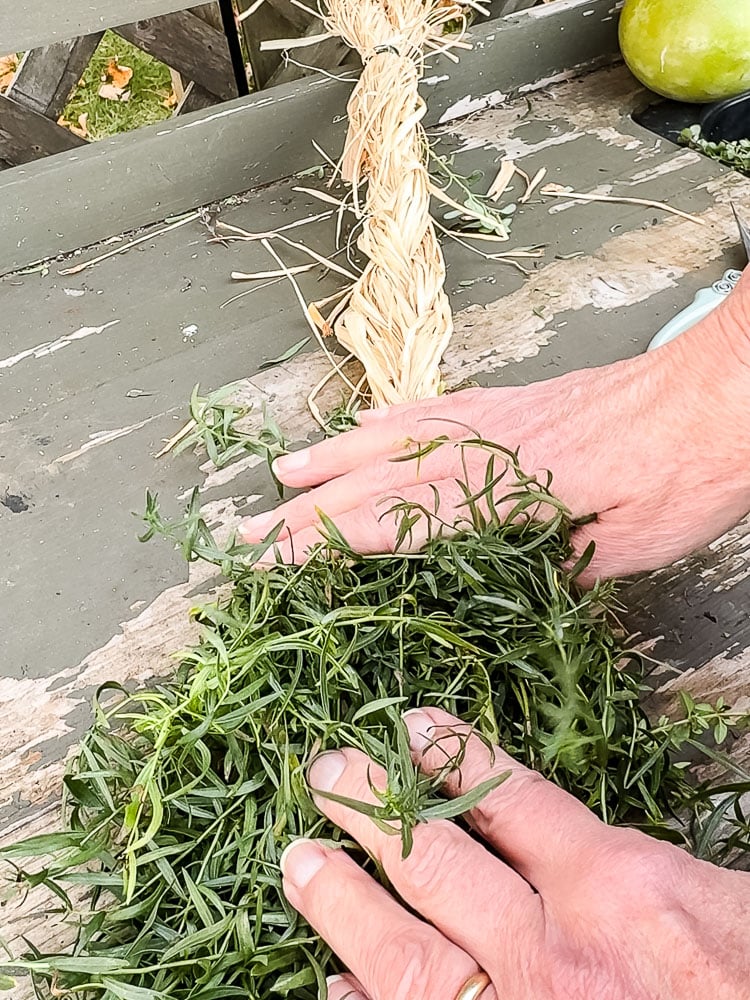 tarragon on a potting bench