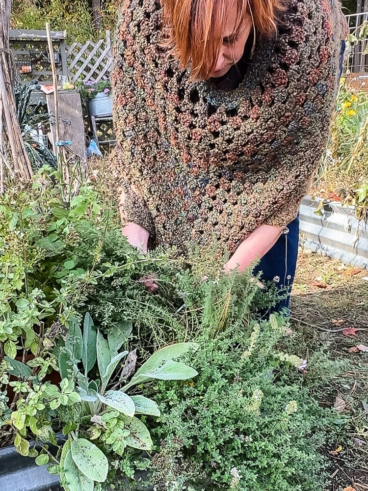 woman in crochet poncho picking herbs in a garden
