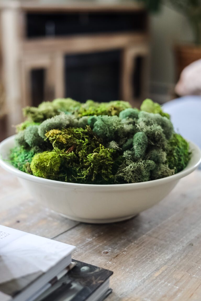 Moss Mania: DIY Projects for Every Home - Cottage On Bunker Hill