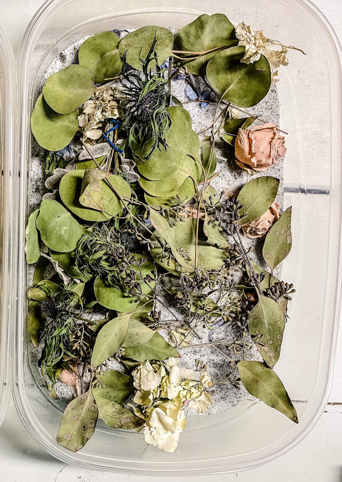 How to Dry Flowers at Home (and What to Make With Them) - Cottage On ...