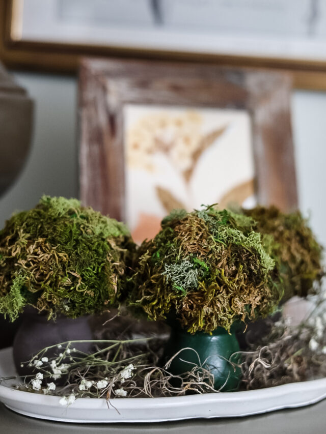 Moss Covered Mushroom DIY Story