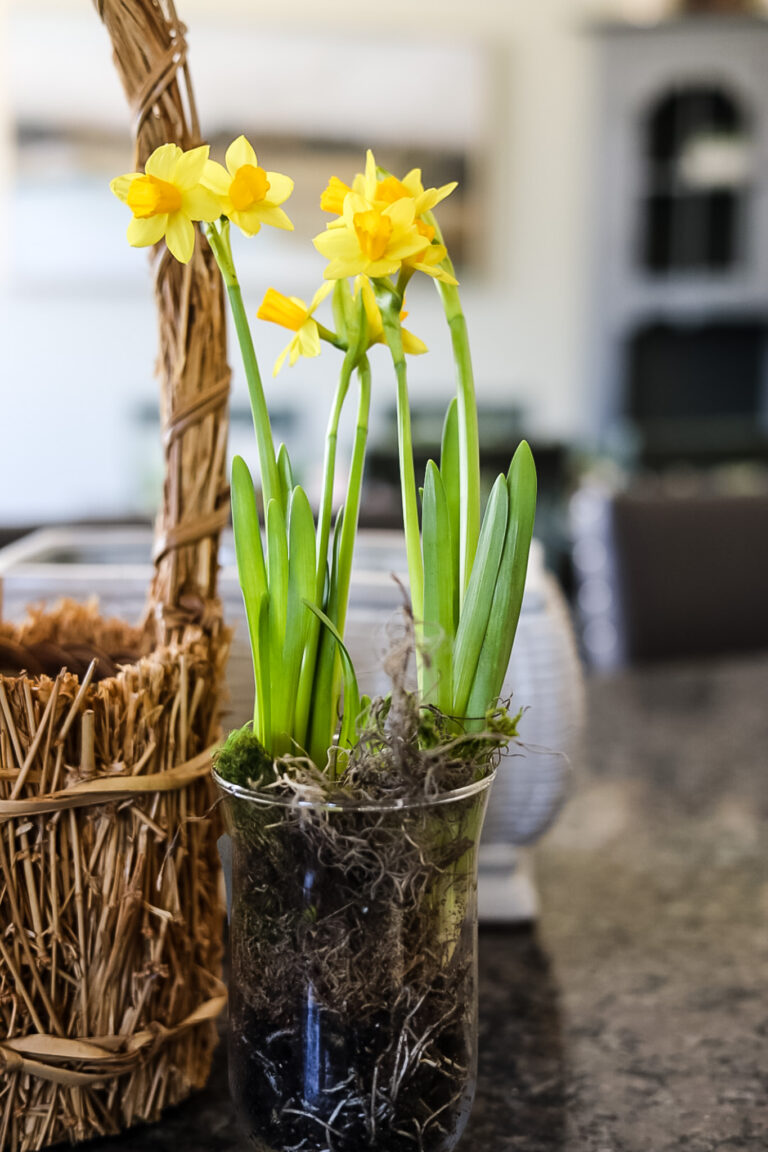 Easy Tips for a Pretty Spring Table - Cottage On Bunker Hill