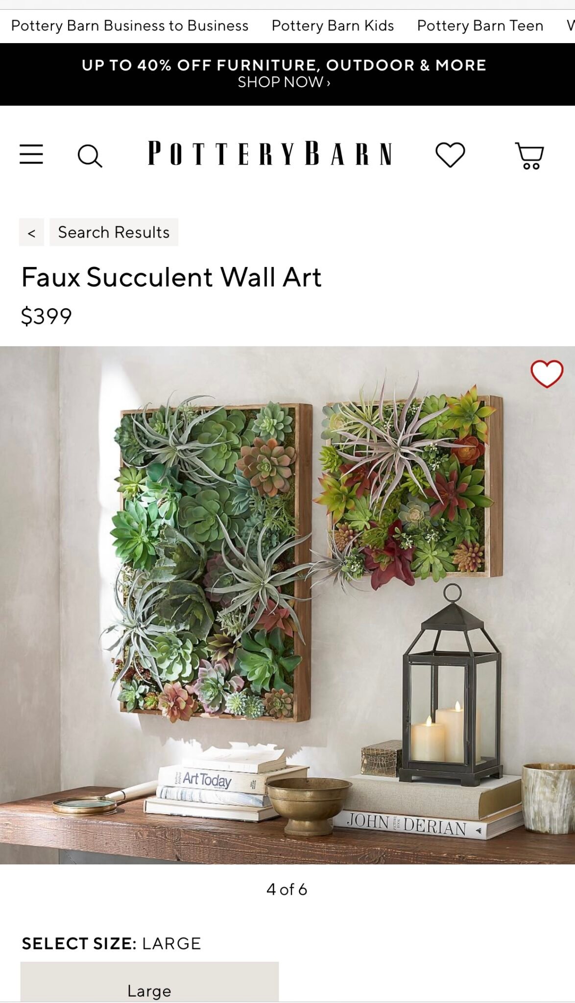 DIY Succulent Wall Art The Perfect Way to Add a Touch of Green to Your