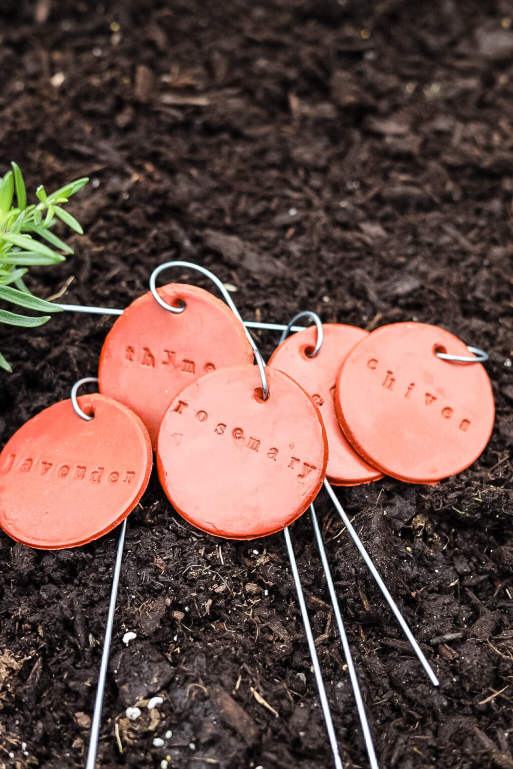 DIY Plant Markers Crafting Custom Clay Plant Markers Cottage On
