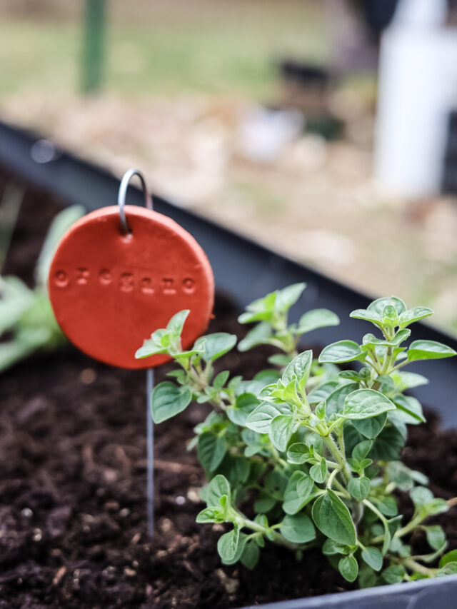 cropped-clay-plant-markers-oregano.jpg