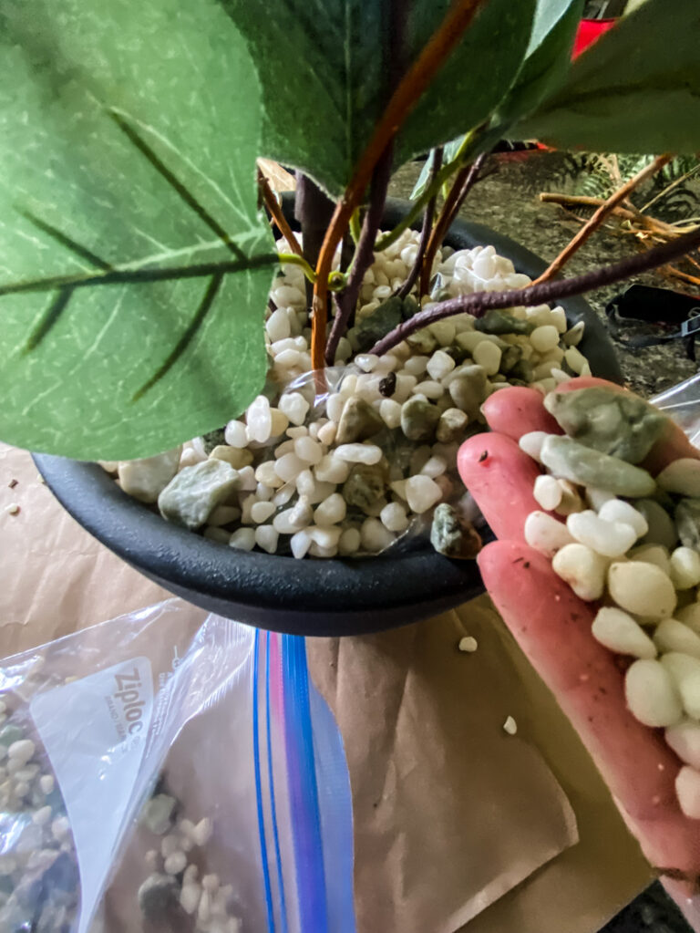 How to Make a Faux Potted Eucalyptus Plant Cottage On Bunker Hill