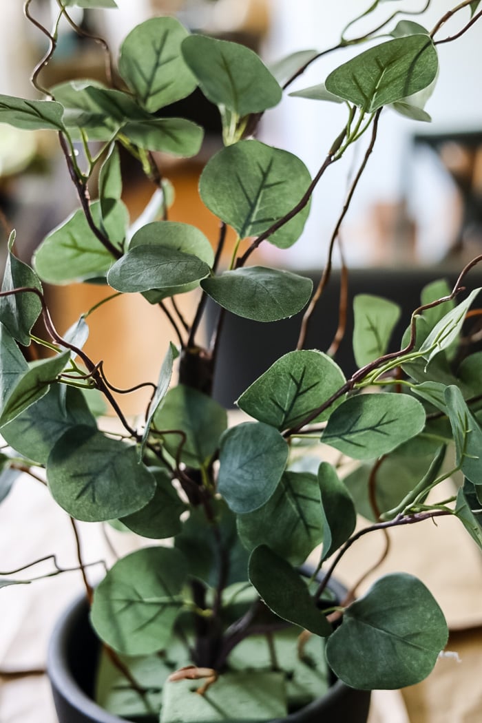 How to Make a Faux Potted Eucalyptus Plant Cottage On Bunker Hill