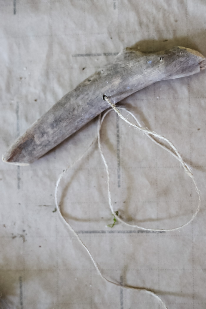 DIY Air Plant Terrariums: A Step-By-Step Guide - Cottage On Bunker Hill