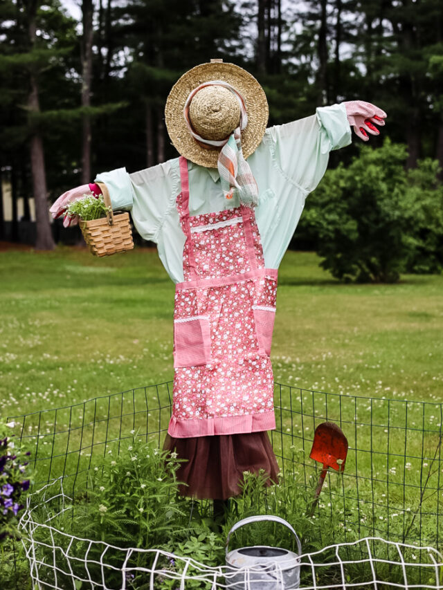 scarecrow dressed as a lady in a garden