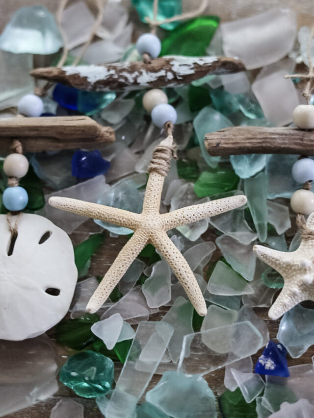 cropped-startish-driftwood-styled.jpg