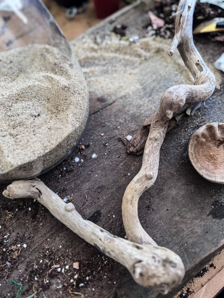 driftwood branch on table