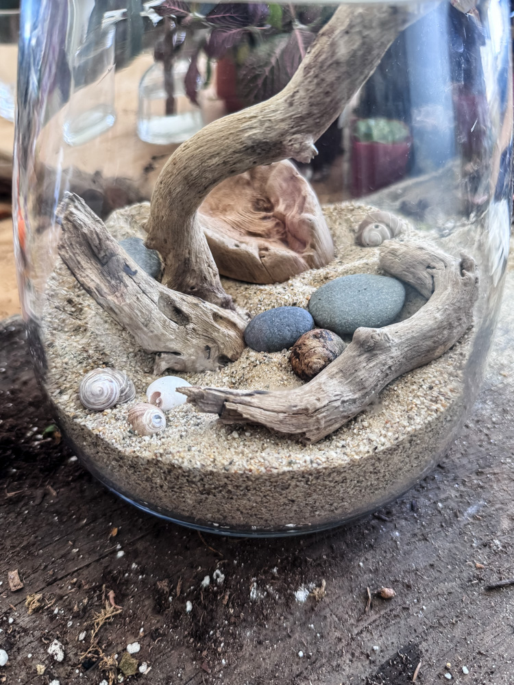 terrarium with ocean theme