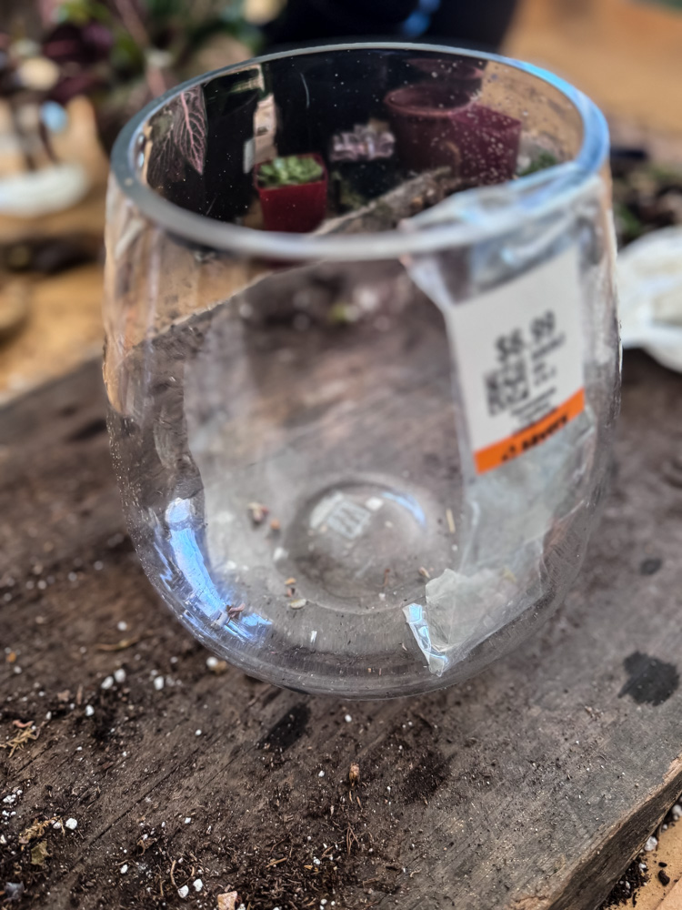 glass vase from thrift store