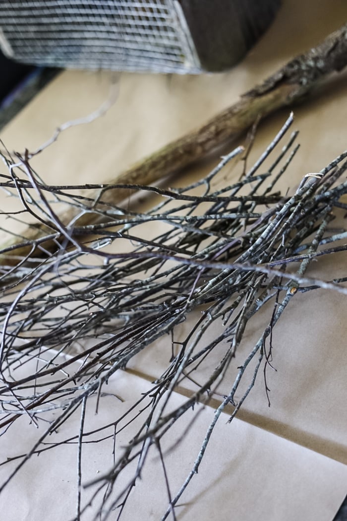 Witch Broom Material main image 0