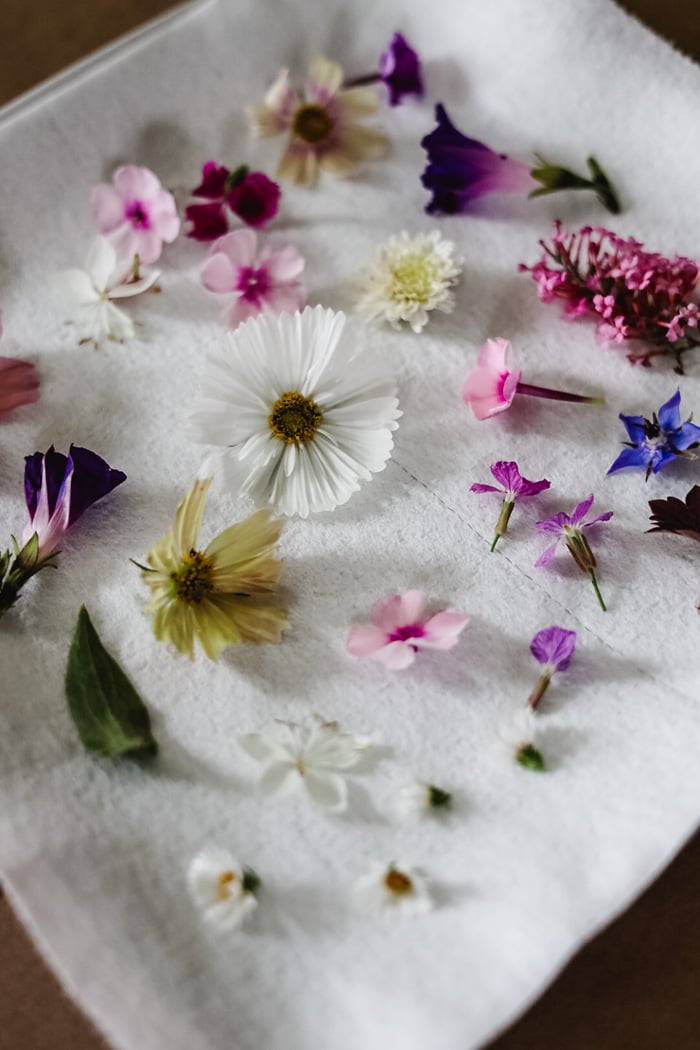 fresh flowers