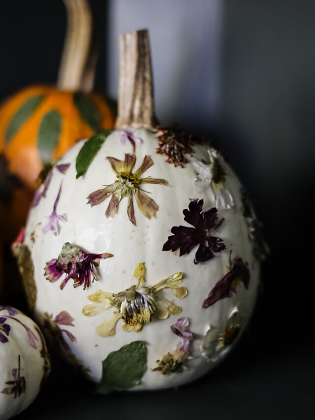 cropped-Pumpkin-with-Pressed-Flowers-finished-pumpkin.jpg