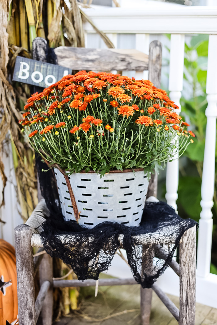 Garden Witch Porch Decor: A Bewitchingly Beautiful Halloween Look - Cottage On Bunker Hill
