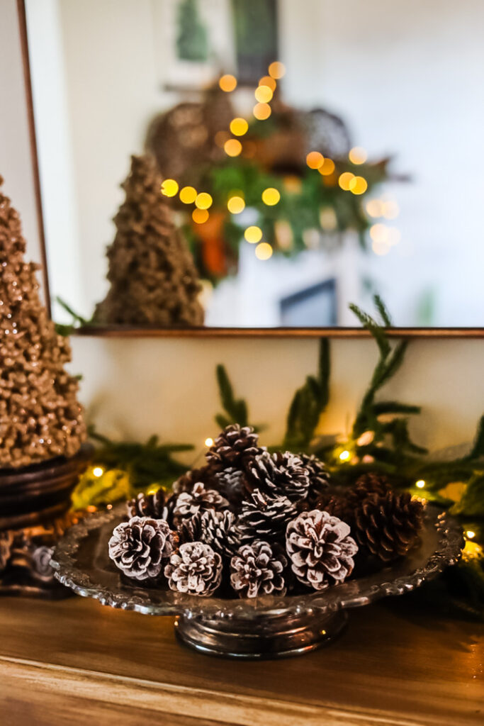 silver dish of pinecones