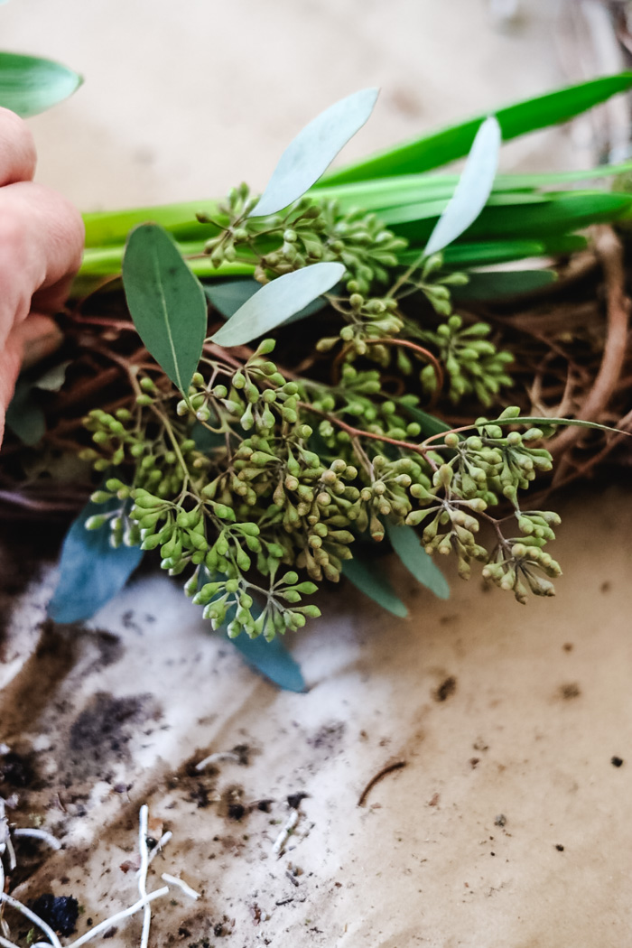 How to Make a Live Spring Wreath with Bulbs - Cottage On Bunker Hill