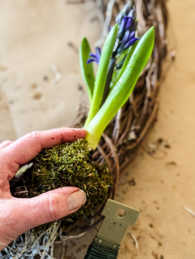 Moss Mania: DIY Projects for Every Home - Cottage On Bunker Hill