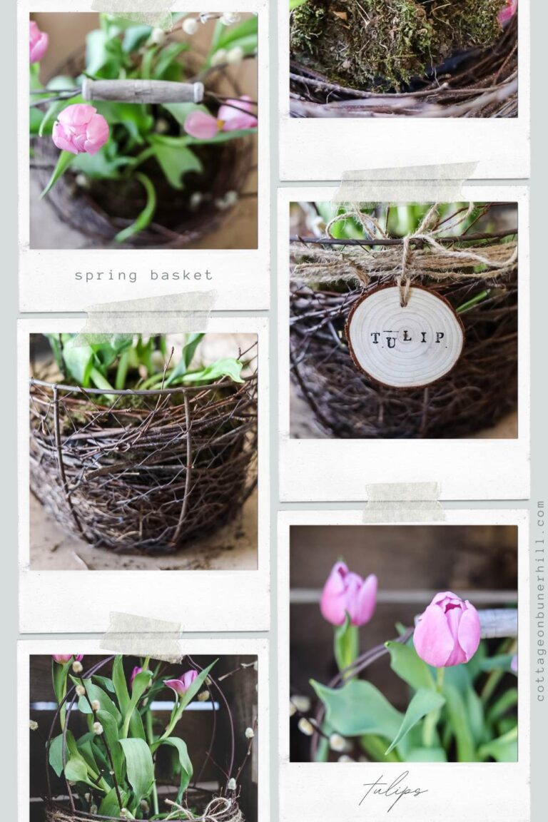 Spring Flowers Project Simple Spring Flower Project: Tulip Basket Tutorial - Cottage On Bunker ...