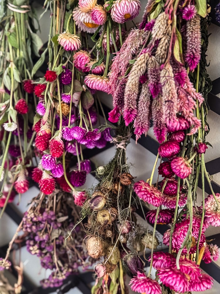 air dried flowers hanging on a peg rack