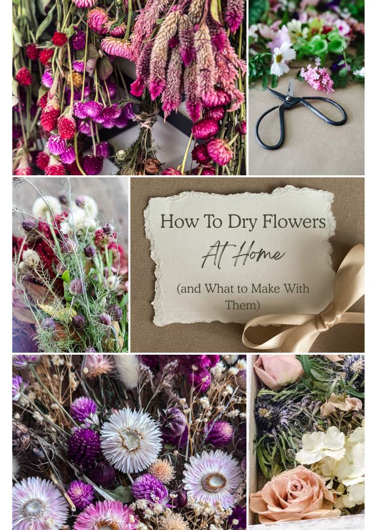 How to Dry Flowers at Home (and What to Make With Them)