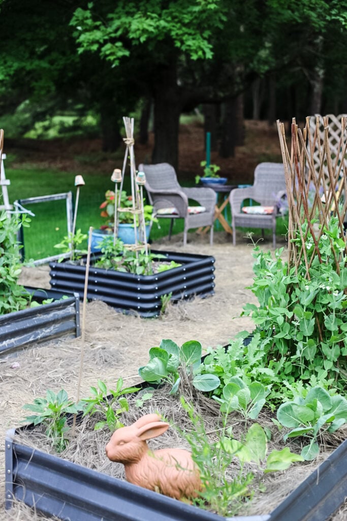 vegetable cottage garden