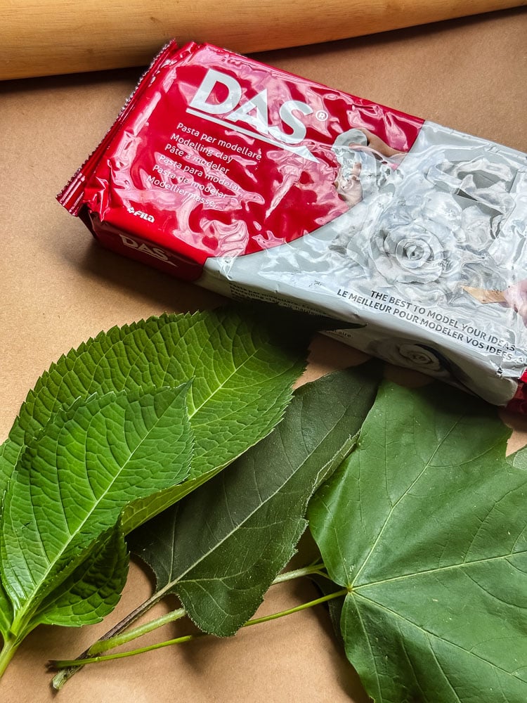 das clay pack and leaves