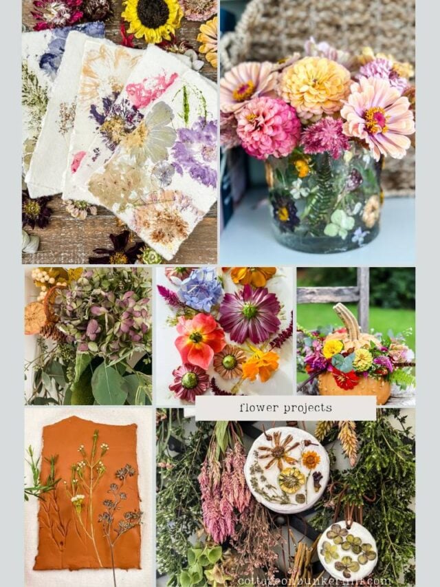Upcycle Your Blooms: Fun DIY Projects with Flowers - Cottage On Bunker Hill