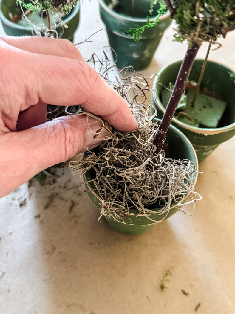 Mossy Heart Mini Topiaries: A Sweet DIY Project - Cottage On Bunker Hill