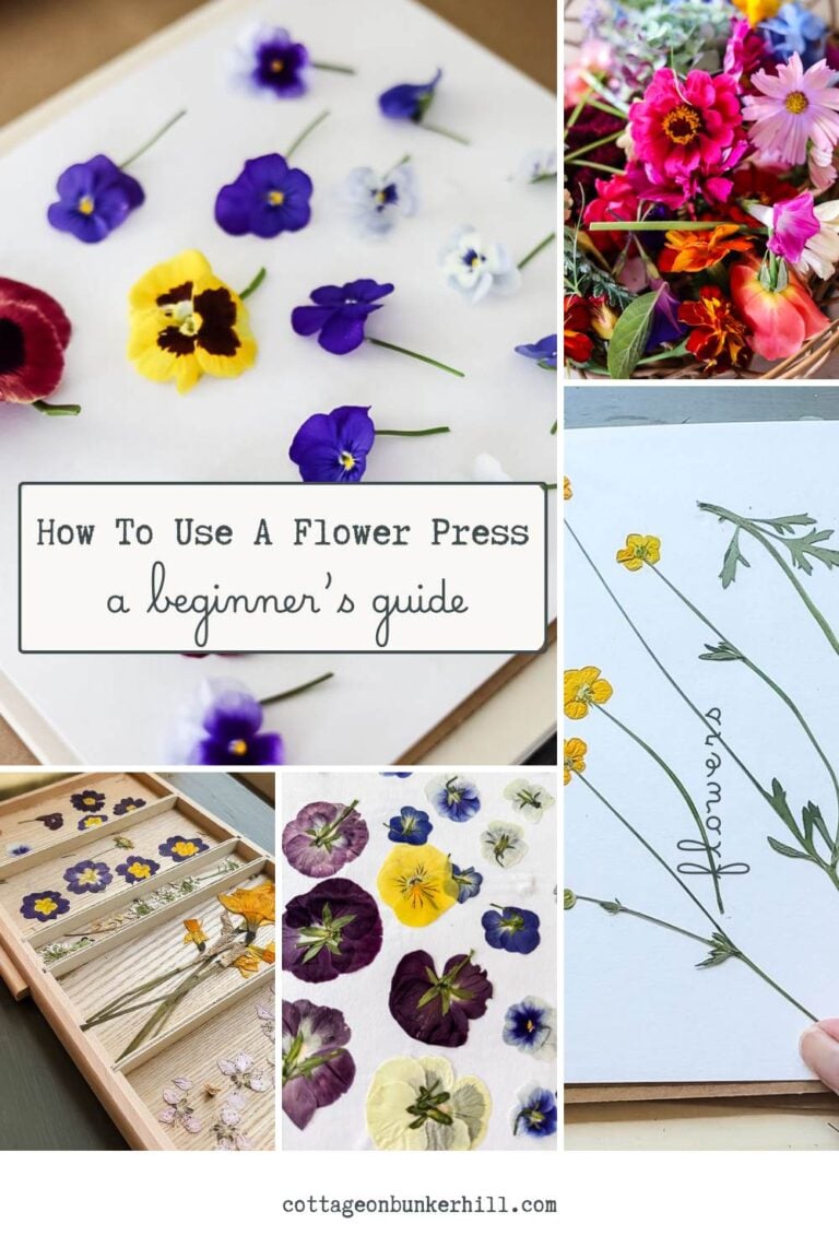 How to Use a Flower Press: A Beginner’s Guide