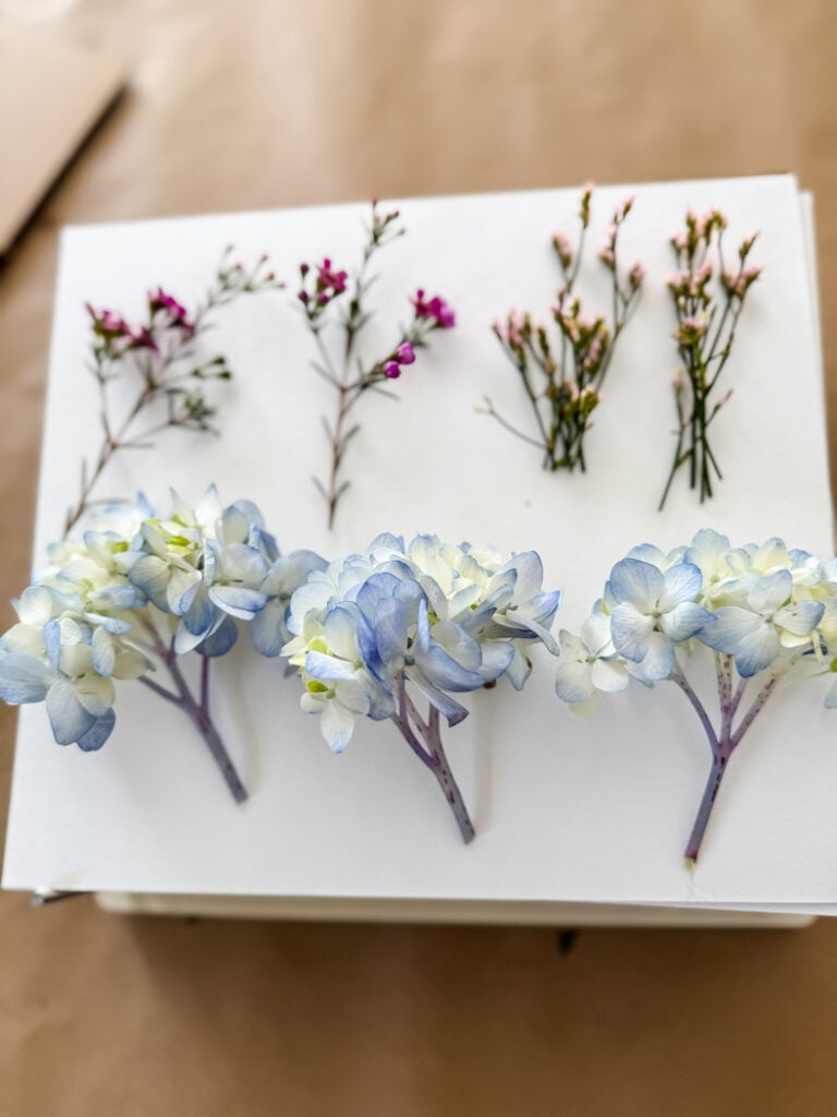 fresh flowers on a flower press