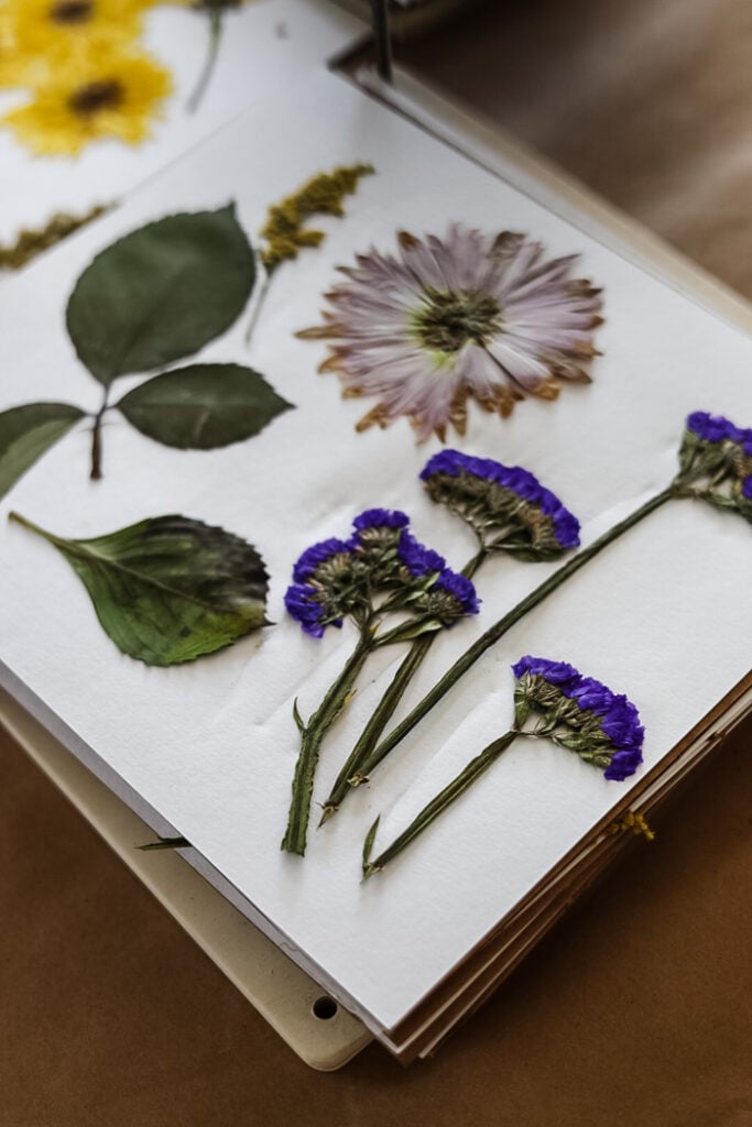 flowers in flower press