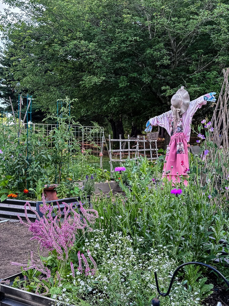 view of a flower garden with a pretty scarecrow