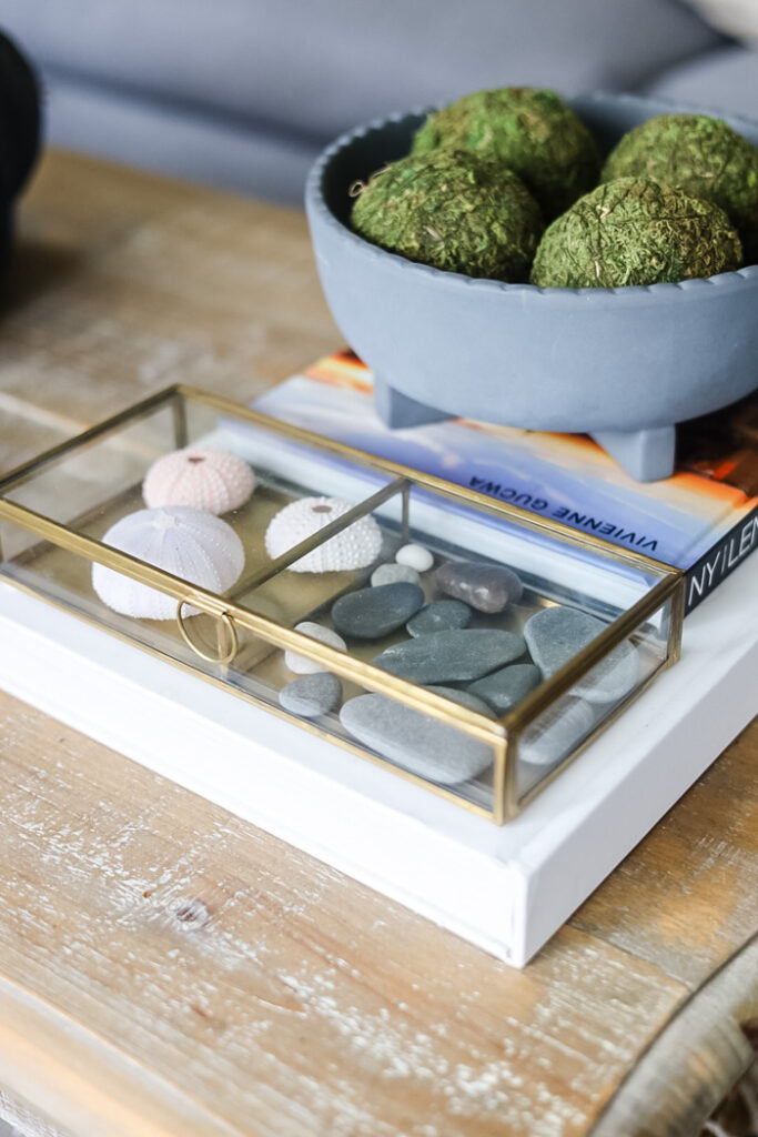 coffee table display with dish of moss balls, books, and a glass trinket box with urchins and stones