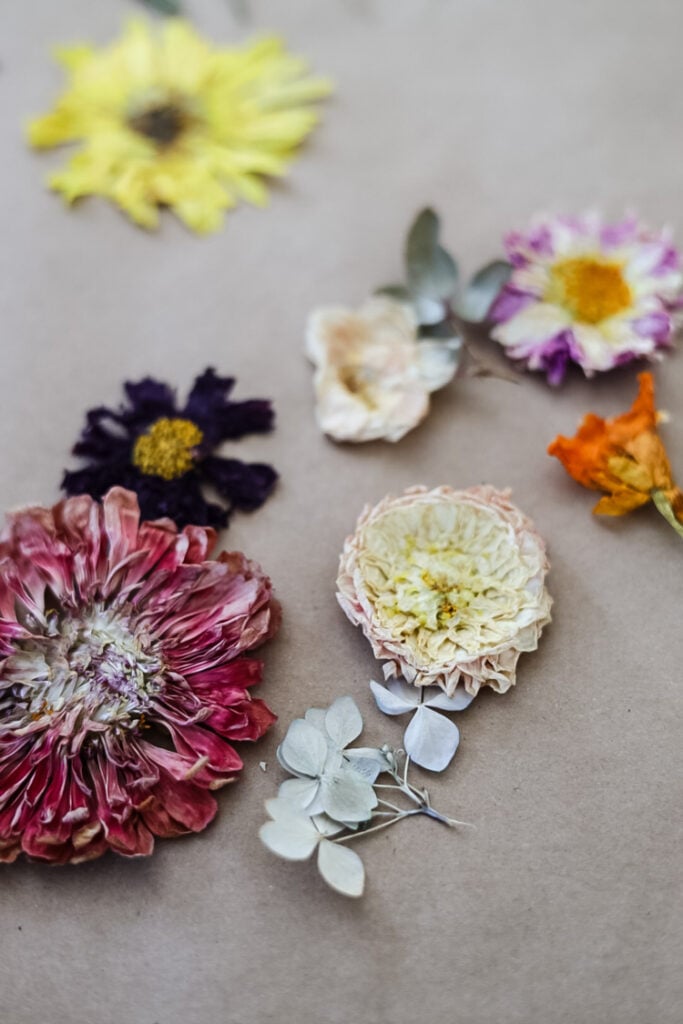 pressed flowers