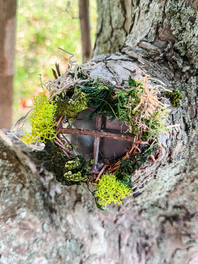 fairy tree window in tree