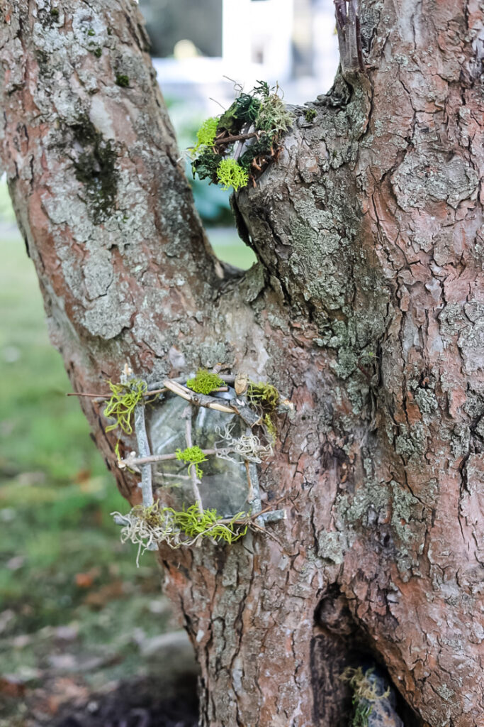 fairy windows in a tree