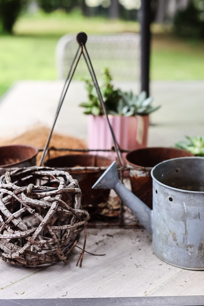 rusty, junky containers being used as succulent planters