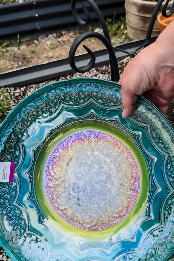glass bowl used for bird bath