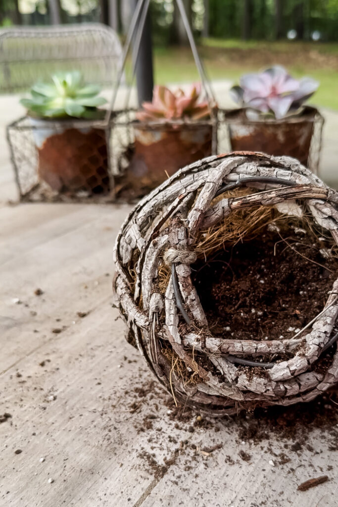 making succulent planters