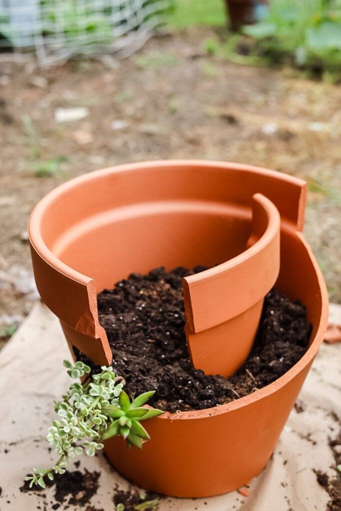 making a terracotta succulent planter